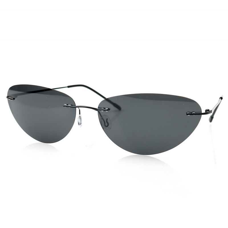 Gafas de sol sin montura a la  - Metal Photo Panel reseña y precio